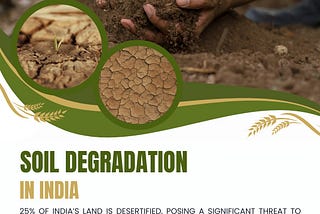 The Role of Regenerative Agriculture in Combating Soil Degradation in India