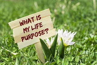 Finding purpose in life.
