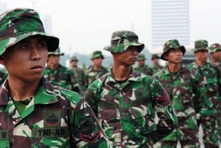 Warna Seragam Tentara Negara Indonesia Angatan Darat
