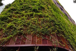 Singapore has greenwalls and apologetic construction workers