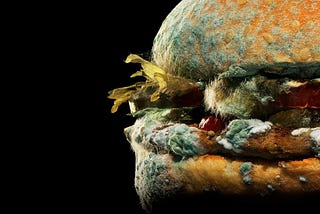 The Duality of Burger King’s Moldy Whopper