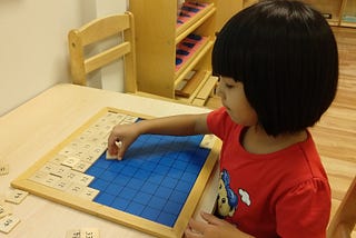 Montessori Curriculum Areas