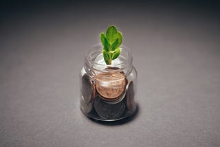 small jar with a few coins and a small plant