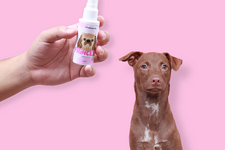 Pet Aromatherapy: The Impact of Well-scented Dogs on Owner Wellness