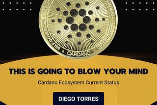 Cardano la gran sorpresa del 2024