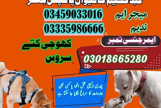 Army Dog Center Khanewal