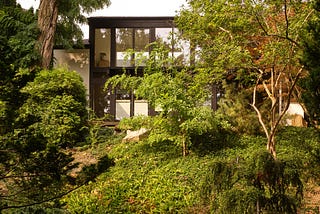A Forest-edge Home in Toronto