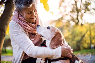 Caring for Senior Pets and Avoiding Economic Euthanasia