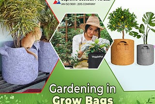 Gardening in Grow Bags