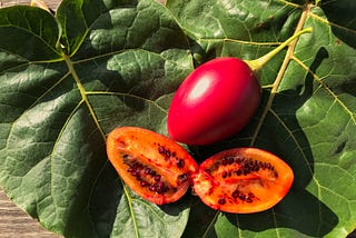 Tamarillo