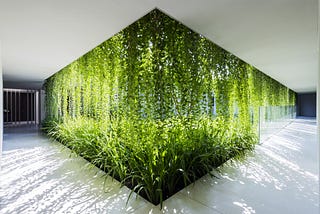 Bringing the Great Outdoors to Our Screens: The Magic of Digital Biophilic Design