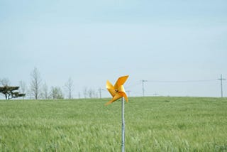 The grass is always greener, in my backyard: Perception and impacts of renewable energy