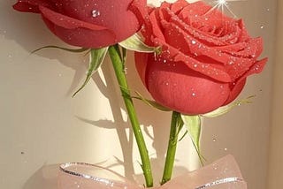 `میں جانتی ہوں، تم تھک چکی ہو…`
نہ شکایت کرتی ہو، نہ وضاحت— بس چپ چاپ سہارے بنتی ہو، جبکہ خود اندر…