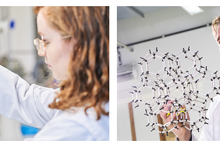 A photo of a scientist working in her lab with a syringe and test tube in her hands. Another photo of a scientist working with a plastic model in his lab.