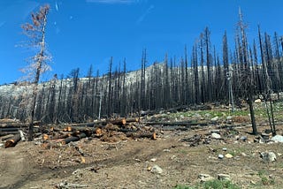 Wildfire Unleashes its Fury with an Explosive Concoction of Climate Change