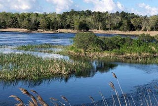Banking on Mitigation Banks