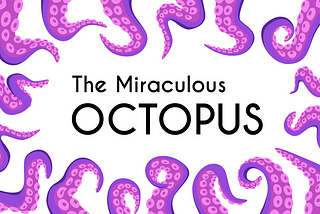 The Miraculous Octopus