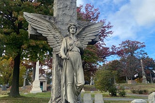 The Women of Woodlawn