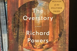 An ‘Overstory’ Inventory