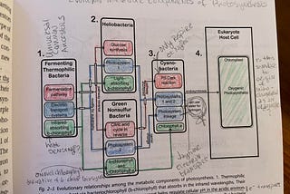 Hung Up on the Origins of Oxygenic Photosynthesis