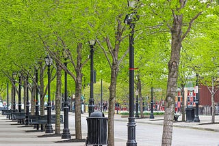 20 Visionary Cities for Urban Tree and Greening Policies