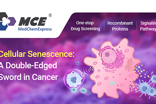 The Dual Role of Cellular Senescence in Cancer: Mechanisms, Microenvironment, and Therapeutics