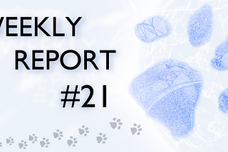 PETCHAIN: Weekly Report #21 · Reporte Semanal #21 ENG/ESP