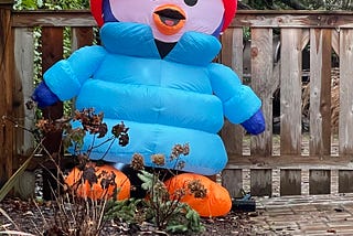 Petey Is Back…And He’s Worried