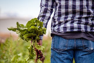 7 Best Beets Benefits