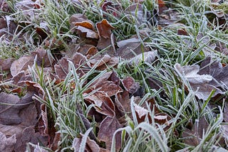 Frost