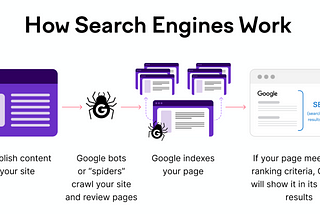 The SEO Process: Crawling, Indexing, Caching, and Discovery