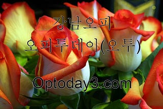 홍대키스방번호 】〉OPTODAY3 『신사휴게텔 』 신사여관바리 신사키스방 신사출장 신사립카