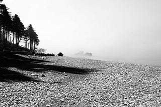 In a Washington Fog