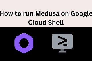 How to run Medusa on Google Cloud Shell