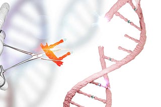 Prime editing is the new way scientists will be able to copy and paste segments in our DNA. (The photo of Isreal.)