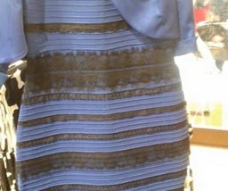 “The Dress” and Uncovering the Hidden Uncertainties in Visual Perception