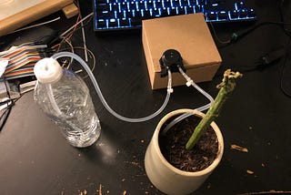 Water Your Plant Using a Raspberry Pi and Python