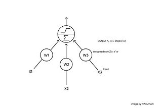 Artificial Neural Network (ANN)