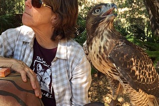 From wildlife to pets: The fate of urban nature?