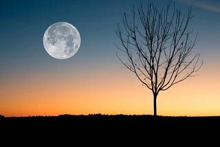 Two Crow’s Dance with Grandmother Moon