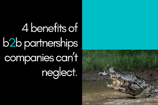 4 Benefits of B2B Partnerships Companies Can’t Neglect.