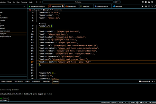 customize a playwright config and pkg-json