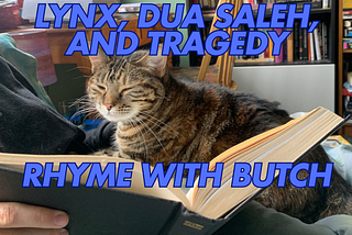 The Minnesota Lynx