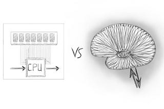 Brain vs Computer: 
Principles of information encoding