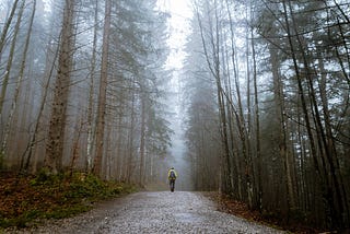 a person walking alone in the dark woods