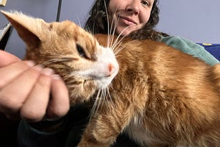 An orange cat occupies most of the photo with a woman smiling in the background and her hand scratching the top of the cat’s head.
