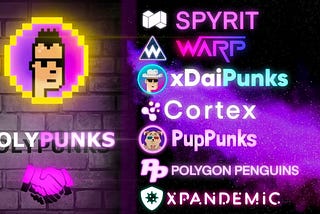What’s Happening in the Polypunks Universe?
