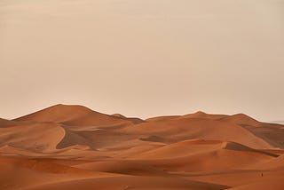 Empty desert landscape devoid of plants or animal life.