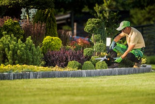 Why Hiring Professional Landscapers is the Best Decision for Your Garden
