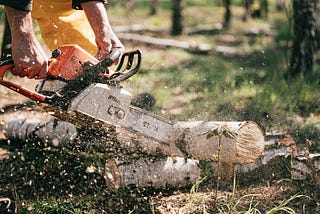 An actual chainsaw being used to chop down logs